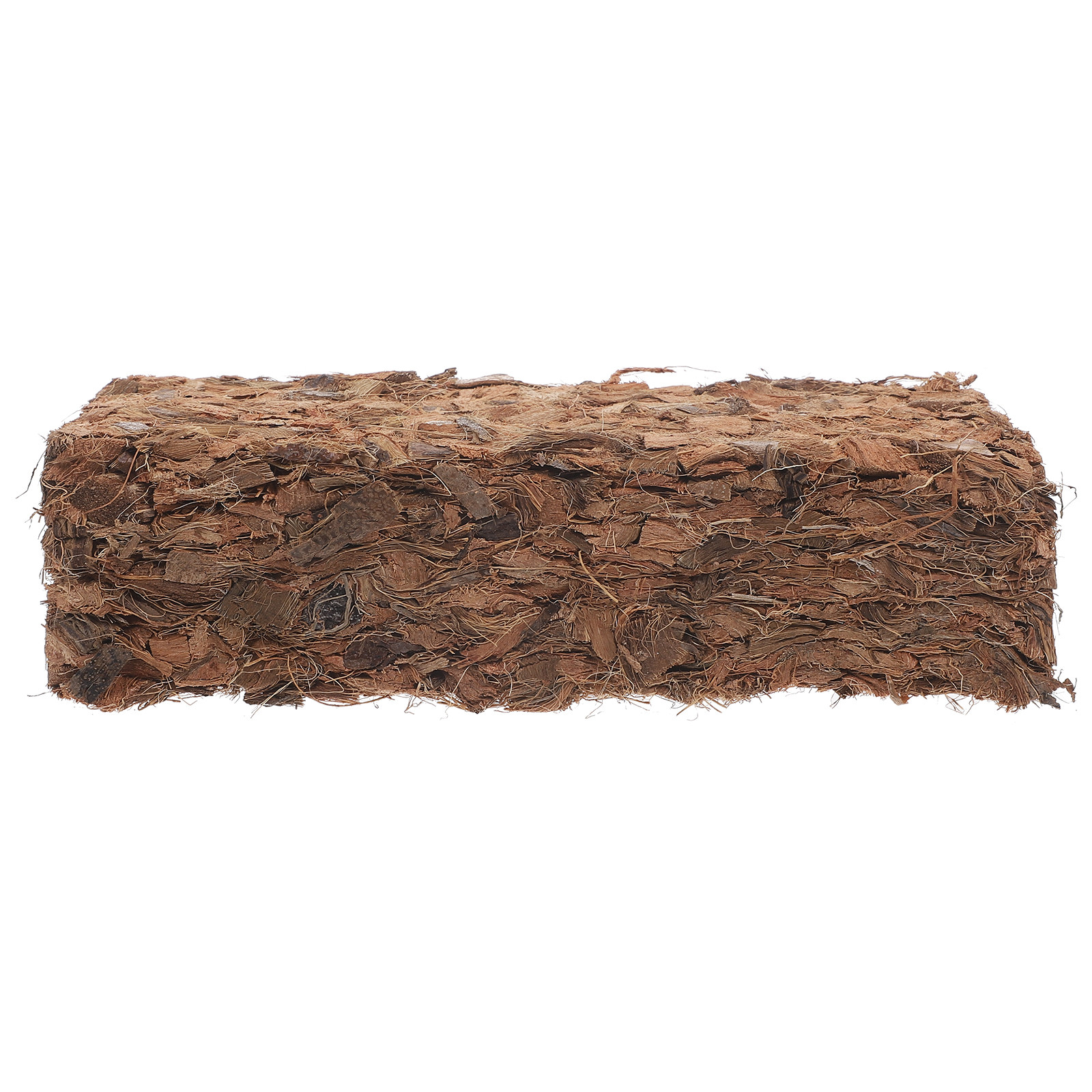 Plant Nursery Block Coconut Co – Nutrition & Fitness Coaching Fulham Bewertung und Preis