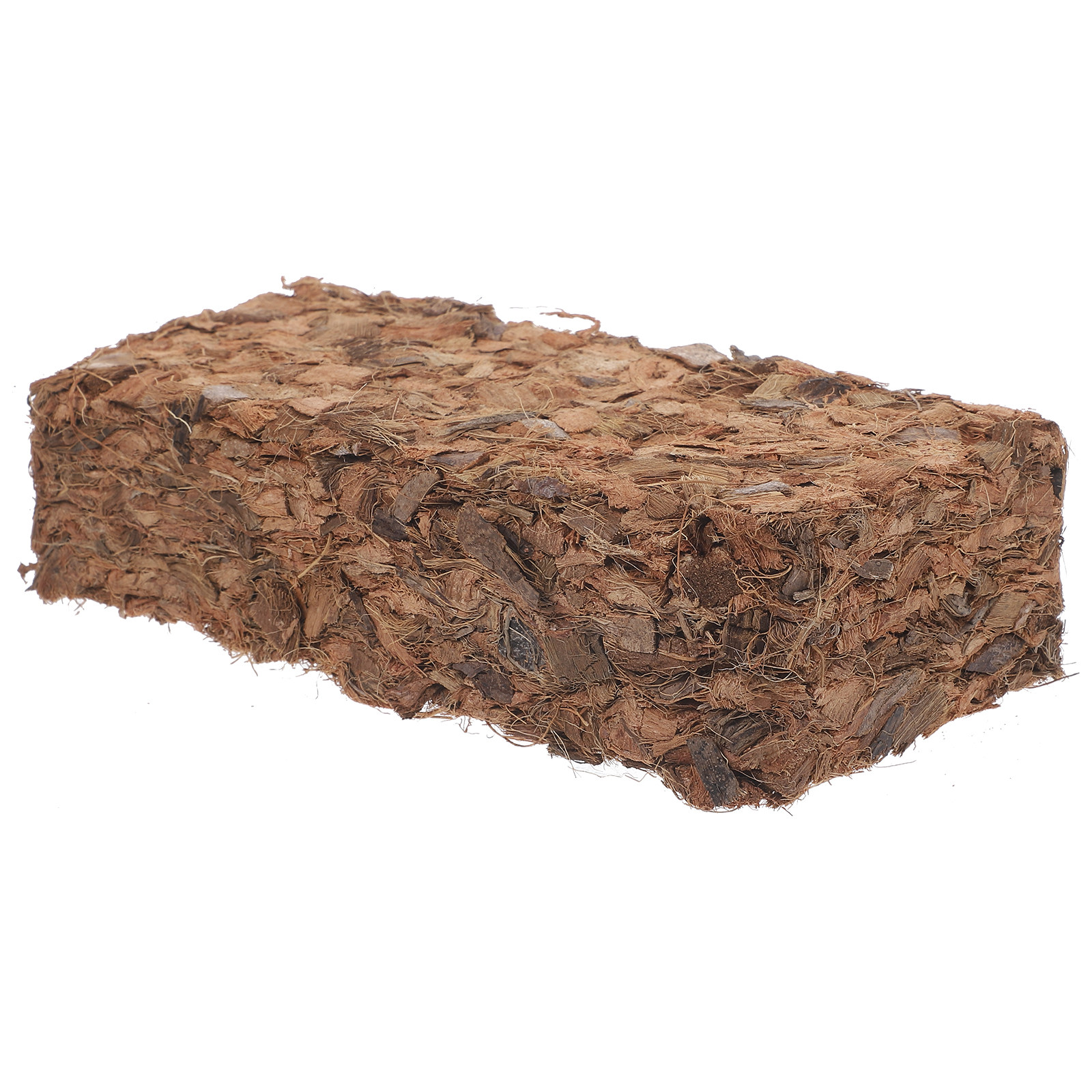 Plant Nursery Block Coconut Co – Nutrition & Fitness Coaching Fulham Bewertung und Preis