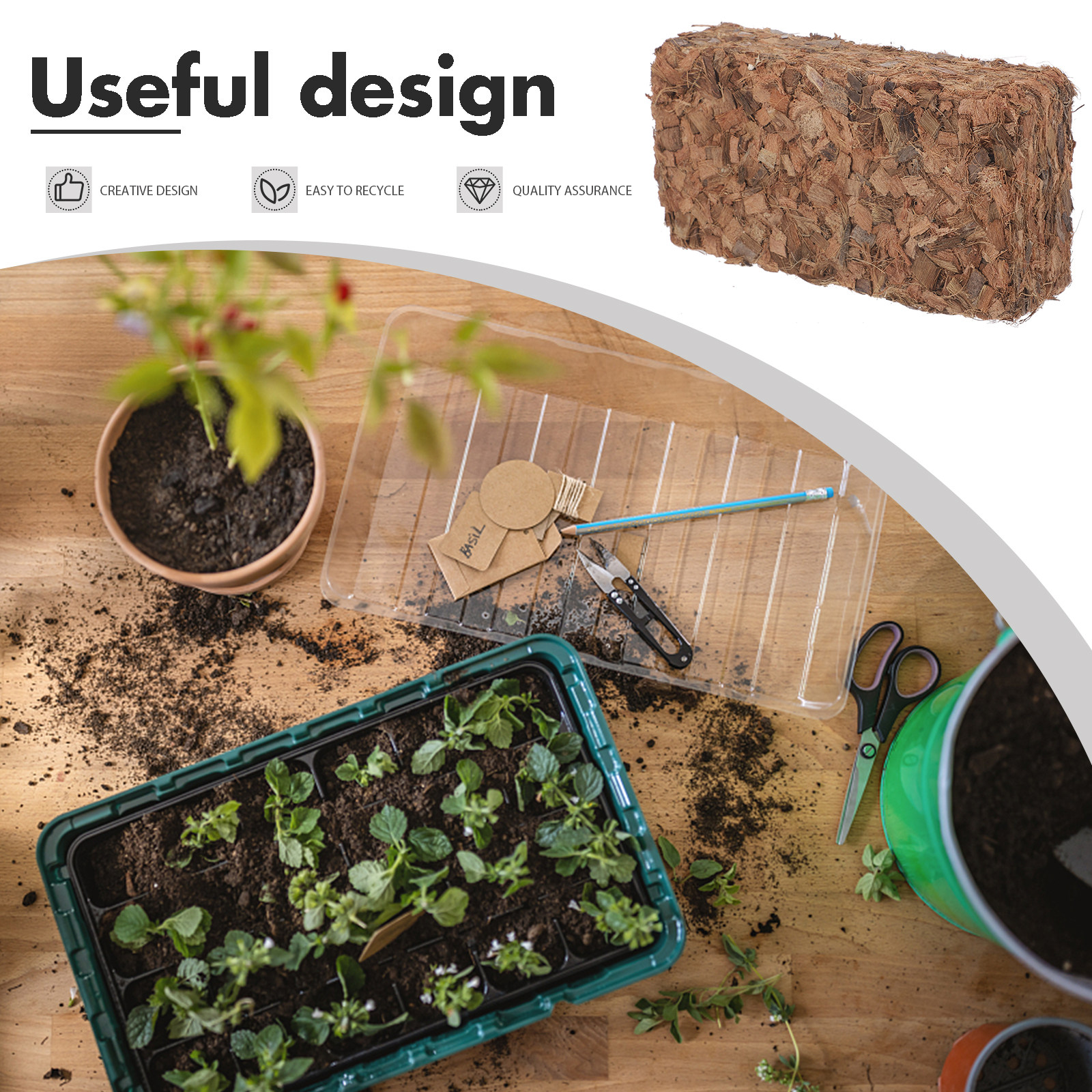 Plant Nursery Block Coconut Co – Nutrition & Fitness Coaching Fulham Bewertung und Preis