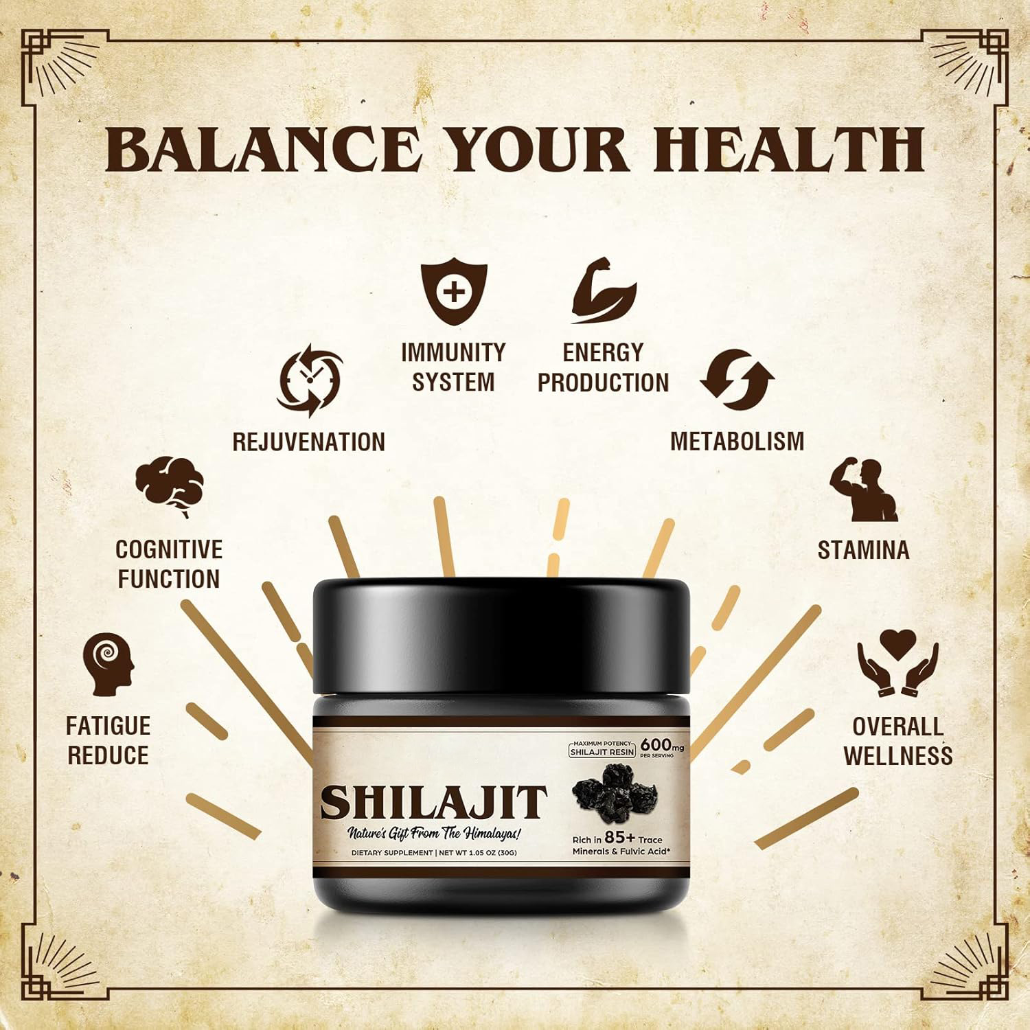 Shilajit Pure Himalayan Organi – Shilajit Resin Pure Bewertung und Preis
