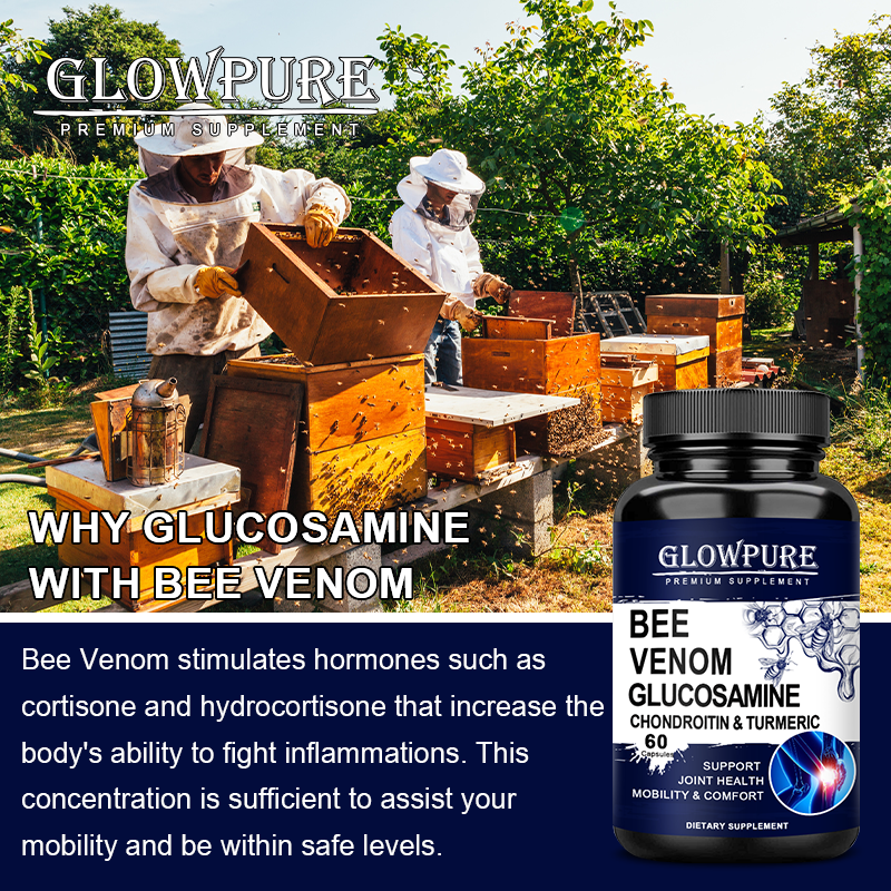 Glucosamine Chondroitin Capsul – Glucosamine Chondroitin Joint Bewertung und Preis