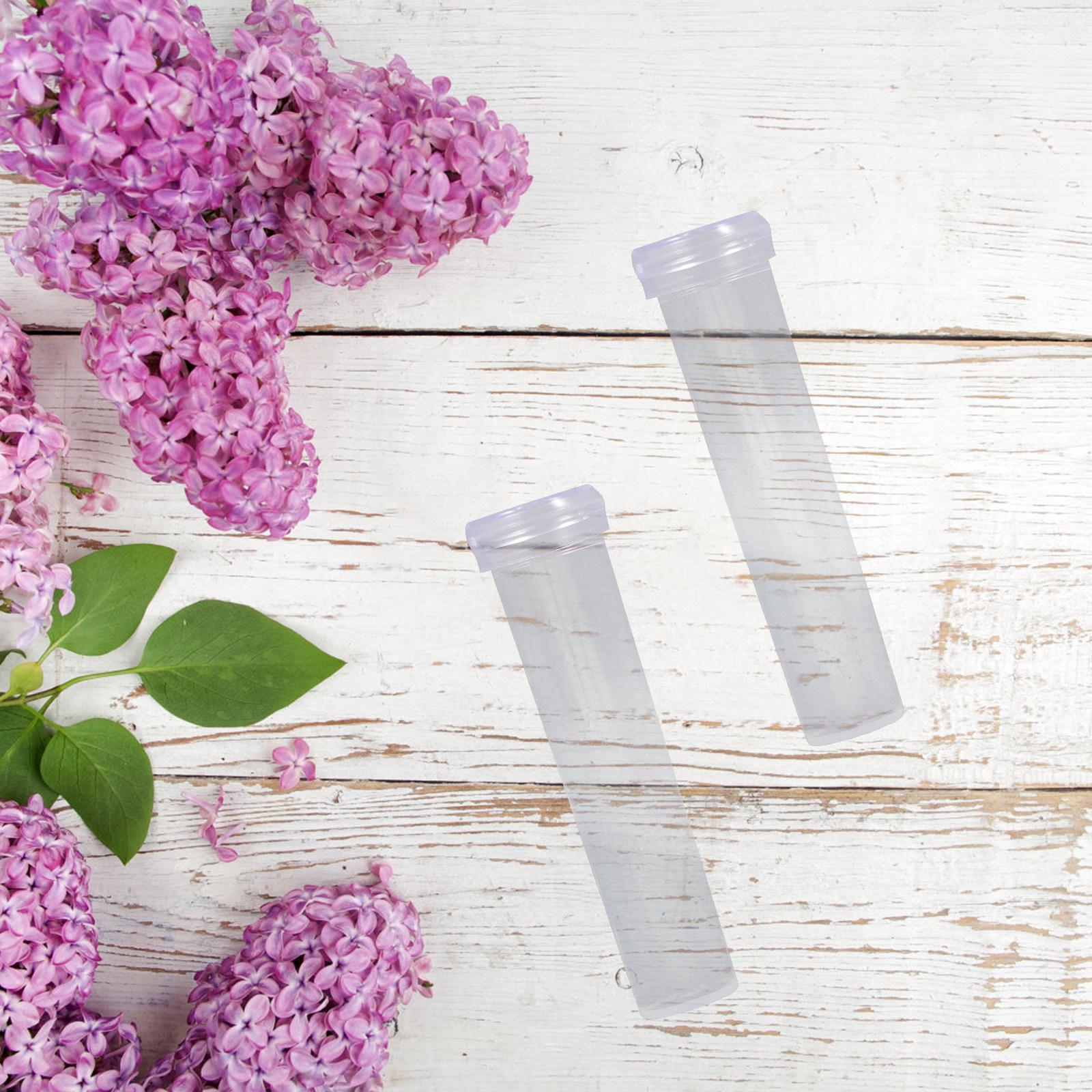 100Pcs Nutrition Flower Tube T – Nutrition & Fitness Coaching Fulham Bewertung und Preis
